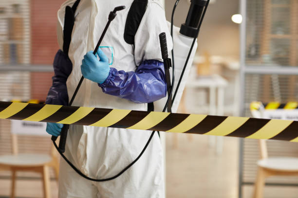 Professional Hoarding Cleanup technician working in Manawa, WI